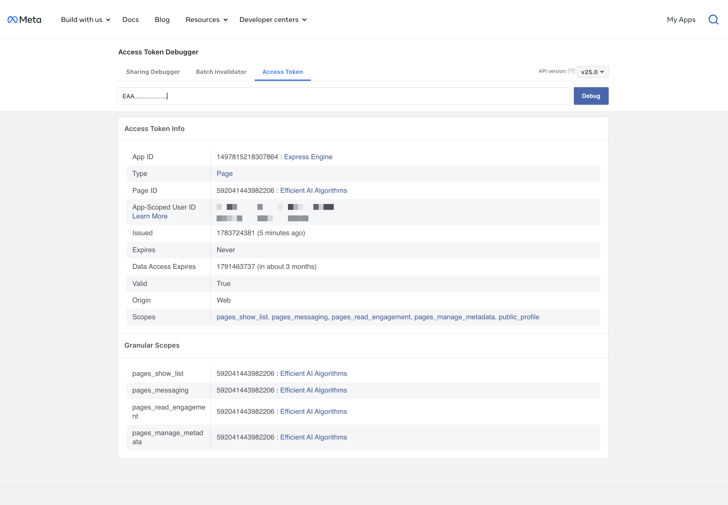 Meta's Access Token Debugger showing Type: Page.