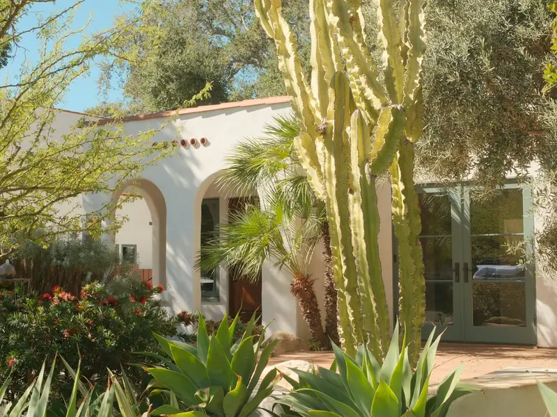 White house with desert landscaping: cactus, agave and flowering shrubs